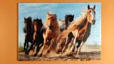 antyrama-48x68-plexi-stan-nowy