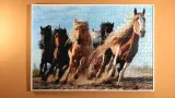 antyrama-48x68-plexi-szerokosc-68-cm