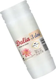 wklad-do-zniczy-dalia-3-20