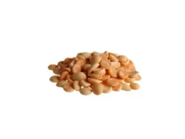 fitmin-for-life-biszkopty-mini-dla-psow-180-g-przysmak-dla-psa