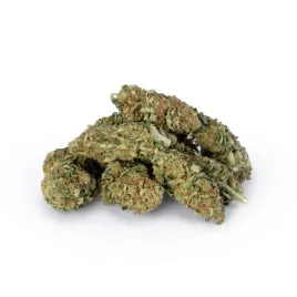 susz-cbd-babcia-marysia-midwest