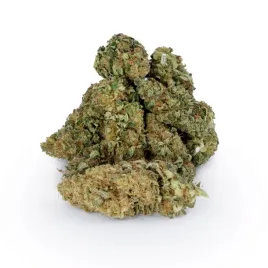 susz-cbd-babcia-marysia-northwest