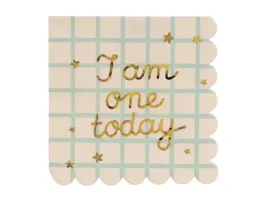 serwetki-na-roczek-bezowe-i-am-one-today-bezowe-w-kratke-33x33cm-12-sztuk-s