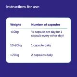 protexin-cobalaplex-60-kapsulek-witaminy-b9-b12-prepiotyk-kod-producenta-5027314499486