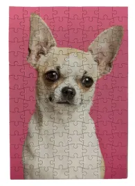 puzzle-ukladanka-z-psem-pies-chihuauha-120-elementow-20x30-cm-ukladanie