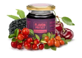 flavon-protect-sloik-240g