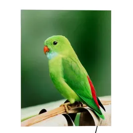 kaseton-scienny-podswietlany-led-70-cm-x-90-cm-papuga2-duzy