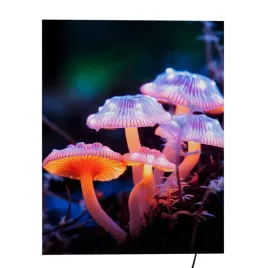 kaseton-scienny-podswietlany-led-46-cm-x-75-cm-grzyby