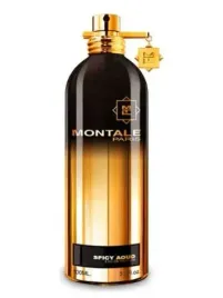 montale-spicy-aoud-100ml-produkt