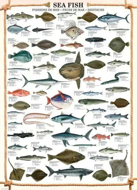 puzzle-1000-sea-fish-6000-0313-kod-producenta-6000-0313