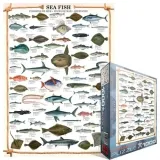 puzzle-1000-sea-fish-6000-0313-liczba-elementow-1000