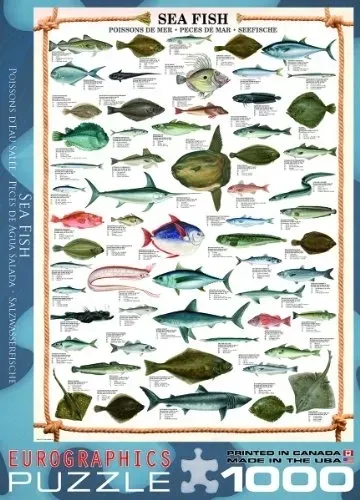 puzzle-1000-sea-fish-6000-0313-bohater-brak