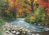 puzzle-1000-forest-stream-6000-2132-kod-producenta-6000-2132