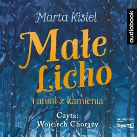 cd-mp3-male-licho-i-aniol-z-kamienia