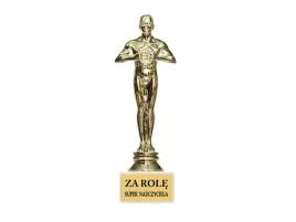 statuetka-za-role-super-nauczyciela-18-cm