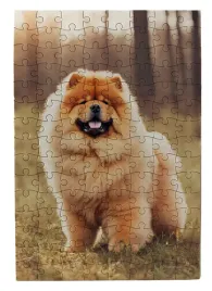 puzzle-ukladanka-z-psem-chow-chow-120-elementow-20x30-cm-ukladanie