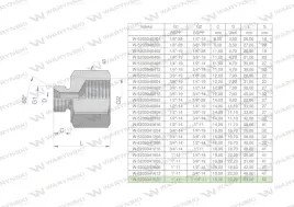 tulejka-roznicowa-hydrauliczna-calowa-ab-1-gz-x-1-1-4-gw-bsp-warynski-w-520