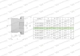korek-hydrauliczny-calowy-na-imbus-3-8-bsp-ed-warynski-sprzedawane-po