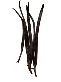 wykrystalizowana-wanilia-laski-5-szt-16-22-cm-laska-wanili-givre