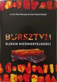 bursztyn-jak-wplywa-na-mozg-pamiec-i-konetracje-czy-poprawia-pamiec-