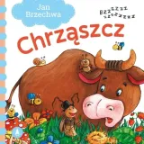 chrzaszcz