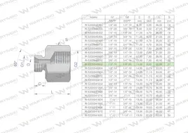tulejka-roznicowa-hydrauliczna-calowa-ab-1-2-gz-x-1-8-gw-bsp-warynski-spr
