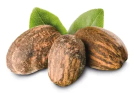 maslo-shea-rafinowane-1kg