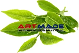 tea-tree-olej-eteryczny-z-drzewa-herbacianego-100-ml