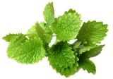 olej-eteryczny-melisa-blend-7-ml