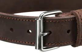 rustic-obroza-dla-psa-gruba-skora-braz-xs-s-27-34