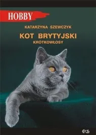 kot-brytyjski-krotkowlosy-w-4-katarzyna-szewczyk