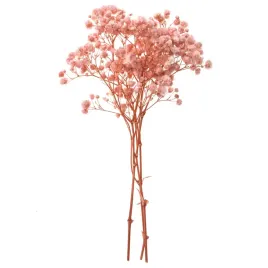 gipsowka-suszona-dpcraft-rozowa-dekoracyjna-pink-gipsowki-kwiatki-ozdobne