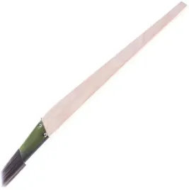 motive-pedzel-plaski-v-pro-stripe-do-paskow-12mm