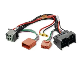 focal-car-iw-ford-y-iso-kostka-iso