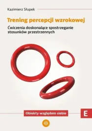 trening-percepcji-wzrokowej-czesc-e-cwiczenia