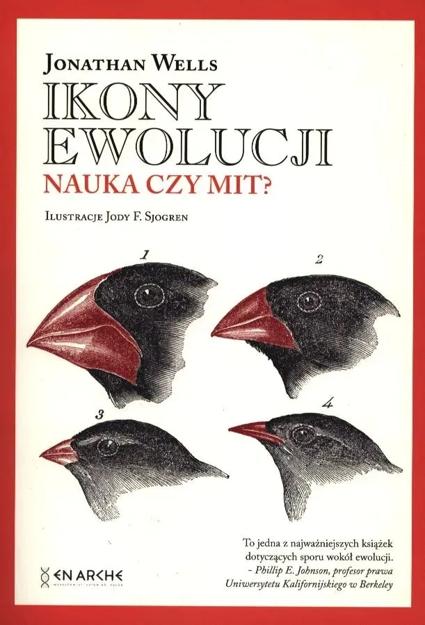 ikony-ewolucji-stan-nowy