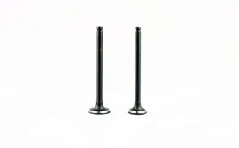 zawor-ssacy-i-wydechowy-50ccm-dl-69mm-losking-motorower