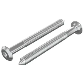 sruby-meblowe-2-pcs-srebrny-m6-x-60-mm-stal