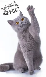 recznik-cat-bengalski-kot-carbotex-30x50