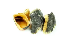 kopyta-wolowe-suszone-naturalny-gryzak-przysmak-dla-psa-1kg