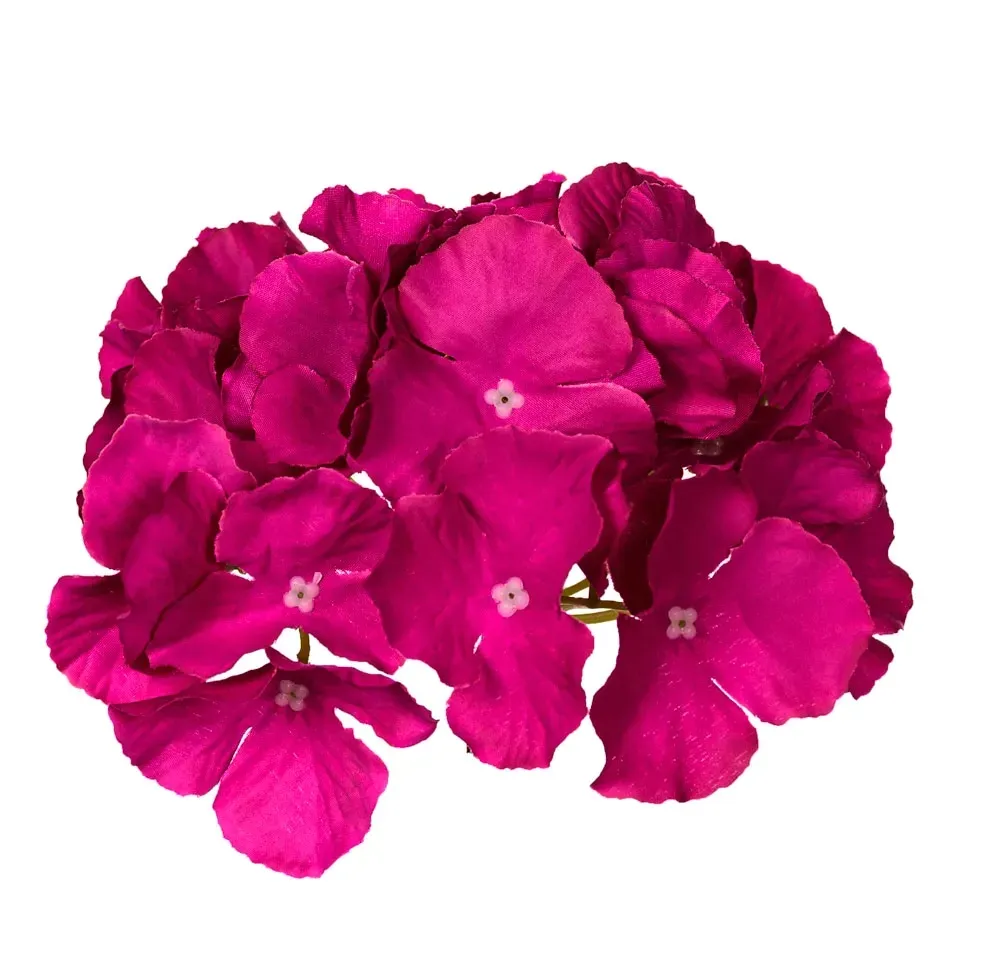 hortensja-magenta-glowka-16cm