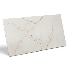 plytki-tarasowe-gres-mrozoodporny-marmur-antique-ice-60x120