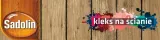 sadolin-extra-lakierobejca-5l-tek-teak-tik-sadolin-superbase-grunt-25l-kod-identyfikacyjny-wyrobu-lakierobejca-extra