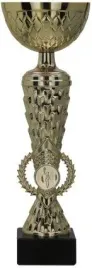 puchar-metalowy-zloty-255cm-trofeum-na-turniej-zawody-gale-tabliczka