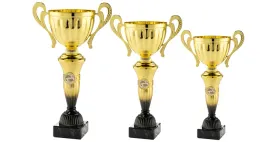 komplet-pucharow-sportowych-zestaw-3szt-383430-cm-emblemat-tabliczka