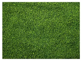 200g-glopex-algen-gran-granulat-ze-spirulina-pokarm-dla-ryb-05-08mm