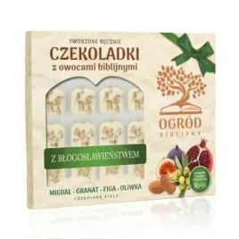 bombonierka-czekoladki-z-owocami-biblijnymi-zielona-czekolada