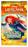 disney-lorcana-wilds-unknown-booster-pack-stan-nowy