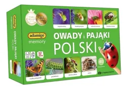 edukacyjna-gra-memory-owady-i-pajaki-polski-dla-dzieci-doroslych