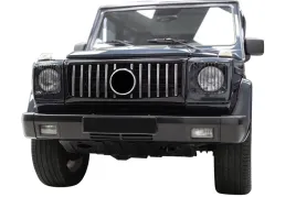 mercedes-g-class-w463-1990-2018-grill-panamericana